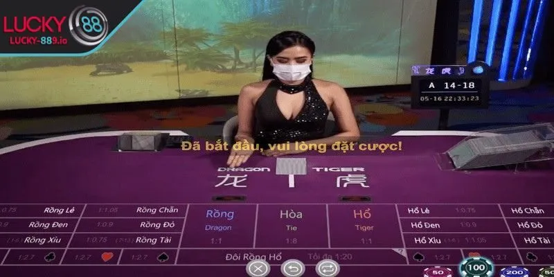 Đơn giản khi bet thủ tham gia chơi
