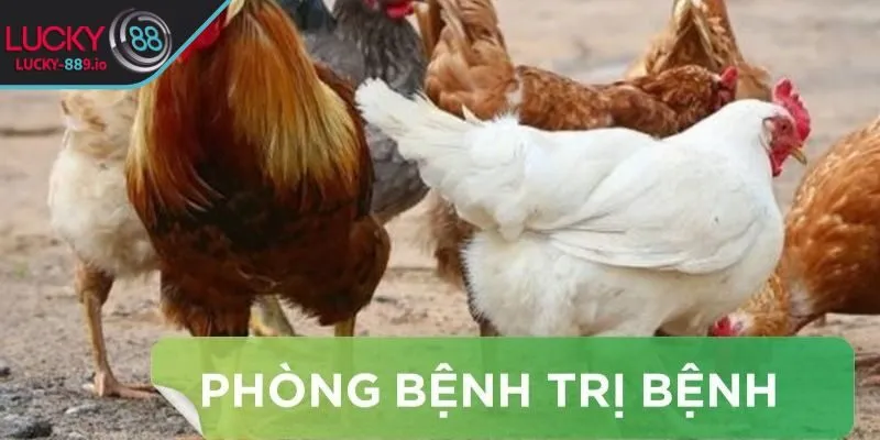 Biết tiêm phòng để tránh bệnh